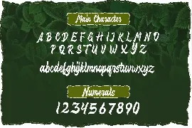 Distropica Display Font