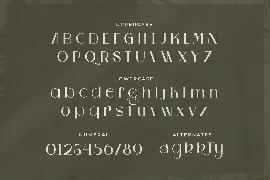 Kasta - Modern sans font