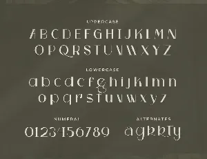 Kasta - Modern sans font