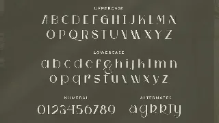 Kasta - Modern sans font