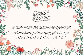 Wander and Bloom Script Font