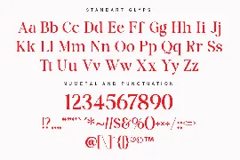 Modern Serif Font