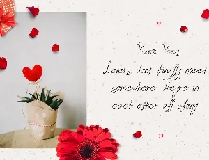 Lover - Romantic Valentine Script font