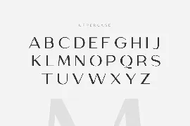 Megante - Classy Font