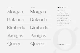 Megante - Classy Font