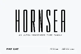 Hornsea FC | Condensed Sans Serif Font Family