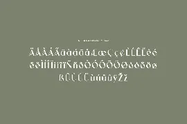 Antolia Buchery Feminine Sans Serif Font