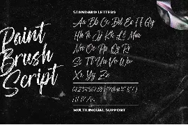 Paint Brush Script - Logo Font