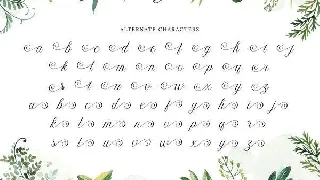 Congratulations Script Font