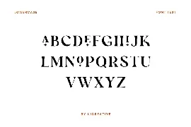 Xander Swordfish Luxury Ligature Serif Display font