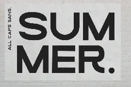 Loving Summer | Font Duo