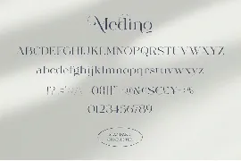 Medino // Modern Stylish Serif font