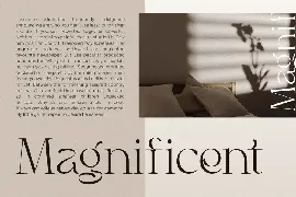 Black Delights - Elegant Serif font