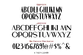 Hosrein Gomer - Modern Ligature font