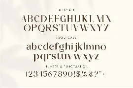 Vitage Serif Font