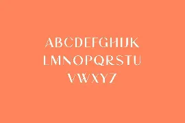 Brightwood Classic Serif Font