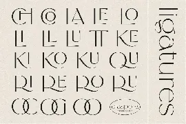 Diaspora font