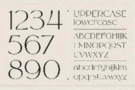 Diaspora font