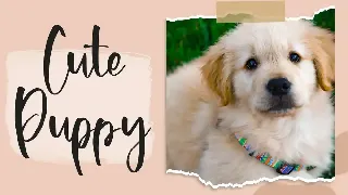 Puppylike - Cute Handwritten Font