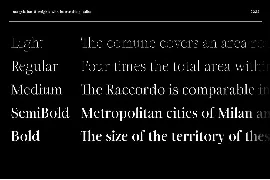 Incognia - 10 Fonts