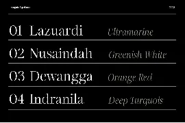 Incognia - 10 Fonts