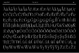 Incognia - 10 Fonts