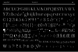 Incognia - 10 Fonts