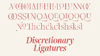 Incognia - 10 Fonts