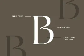 Silvania Modern Serif Font