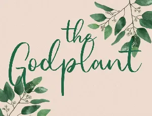 Jellylory Script Font