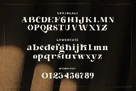 Hadest - A Vintage Serif Font