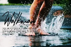 Hollims | Brush Script Font