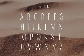 Allerick | Modern Classic font