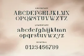 Sandatory - Elegant Serif Typeface font