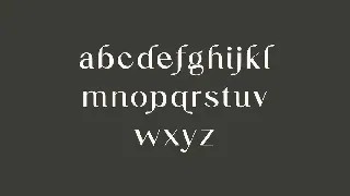 Jekaterina Modern Serif Font