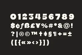 Bermia Display Fonts