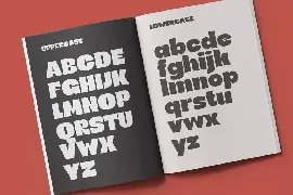 Bermia Display Fonts