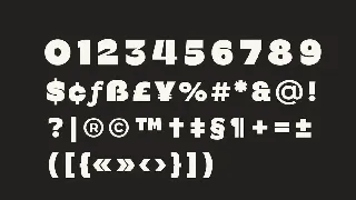 Bermia Display Fonts