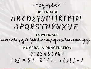 Eagle Script Font