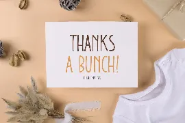 Glazed Donuts - Cute Handwritten Font TT