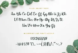 Chasy Beauty Script Font