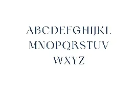 Hydrogenous Elegant Serif Font