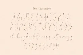 Southern Script Font