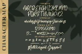 Balistica Modern Handwritten font