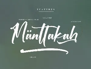 Victory Willkins Modern Script Font