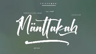 Victory Willkins Modern Script Font