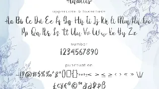 Anattis - Script Font