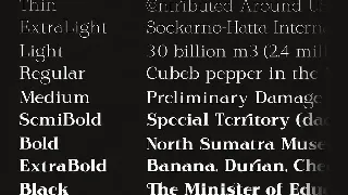 Rodest - Font Family