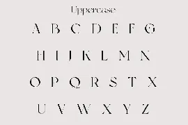 Hartlane | Modern Serif font