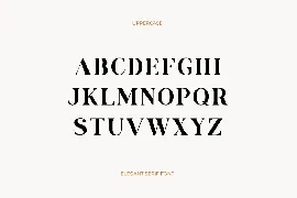 Magic Flavour Elegant Serif Font